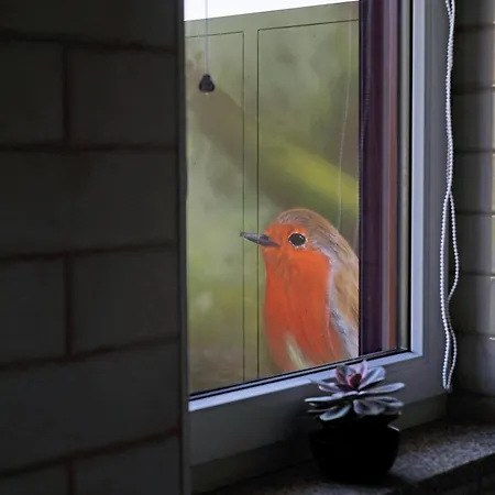 A Casa De Sobrado - Countryside House