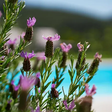 A Casa De Sobrado - Countryside House Villa