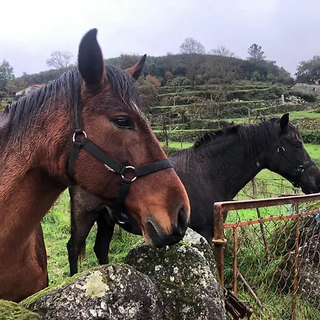 A Casa De Sobrado - Countryside House * Barros (Braga)
