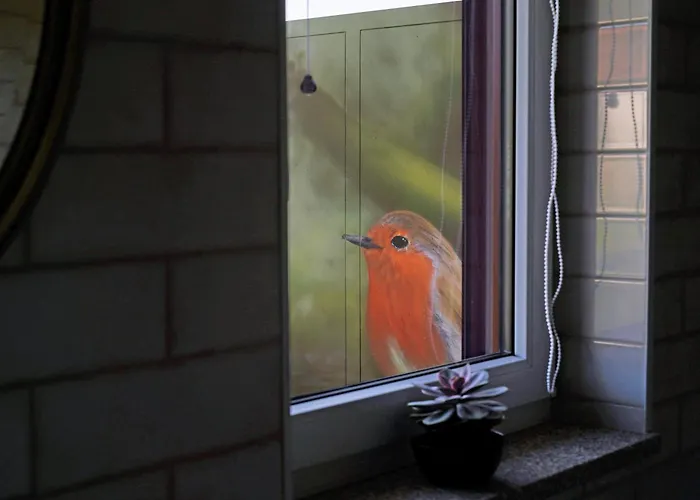 A Casa De Sobrado - Countryside House