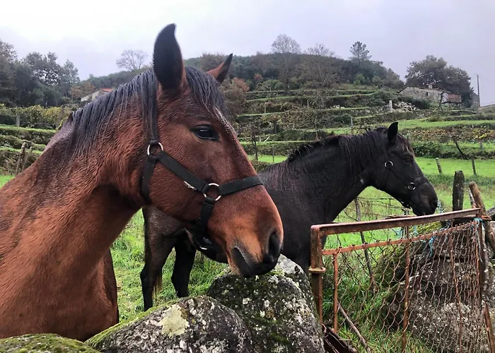 A Casa De Sobrado - Countryside House * Barros (Braga)