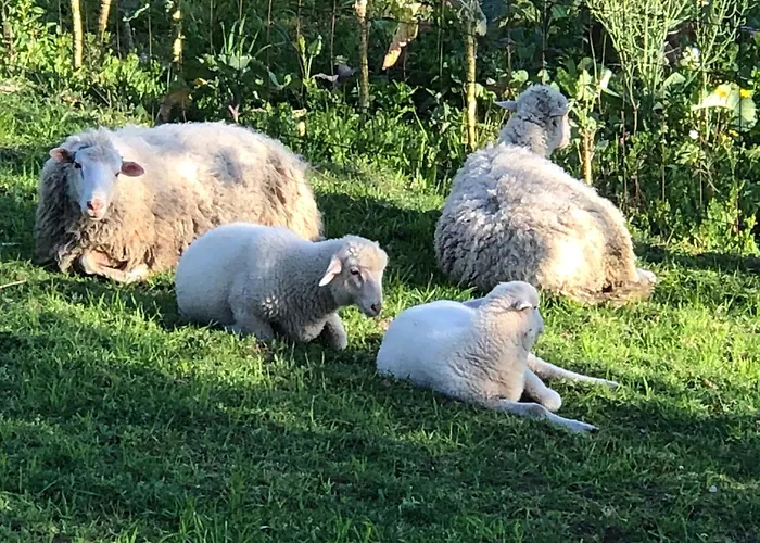 A Casa De Sobrado - Countryside House Villa *